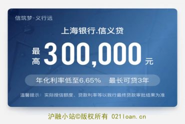 上海新房本抵押贷款（成功批贷650万）